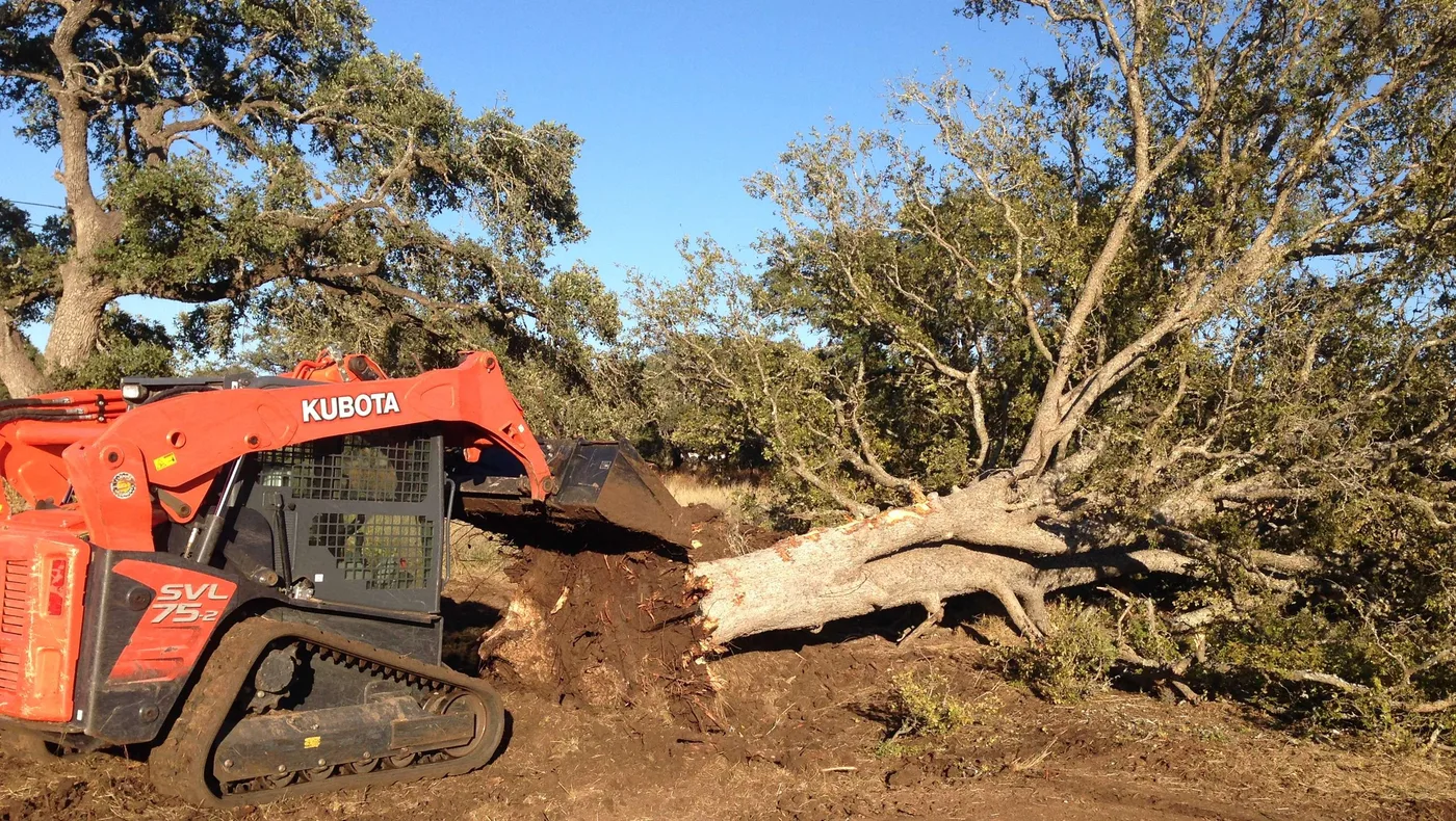 Land Clearing in Burleson, TX